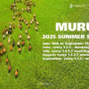 ​ We are glad to announce opening sales for MURUN-2025 SUMMER/AUTUMN flights.  ​