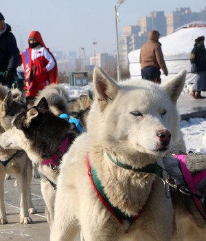 ULAANBAATAR WINTER FESTIVAL PHOTO