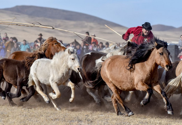 STEPPE HORSES WINTER FESTIVAL