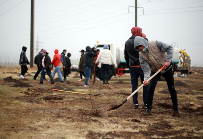 2000 trees planted on public tree planting day