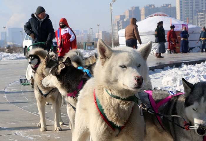 ULAANBAATAR WINTER FESTIVAL PHOTO