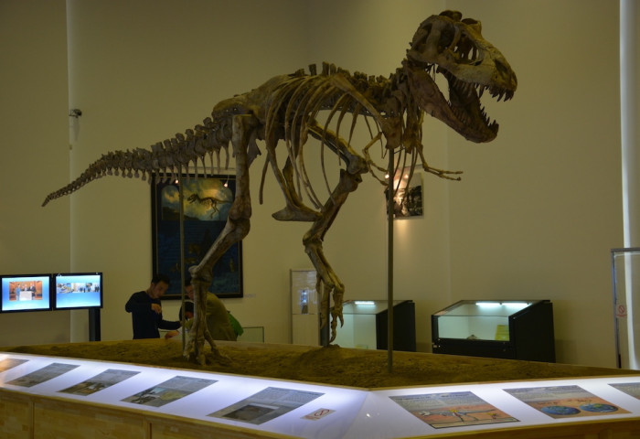 The central Dinosaur Museum